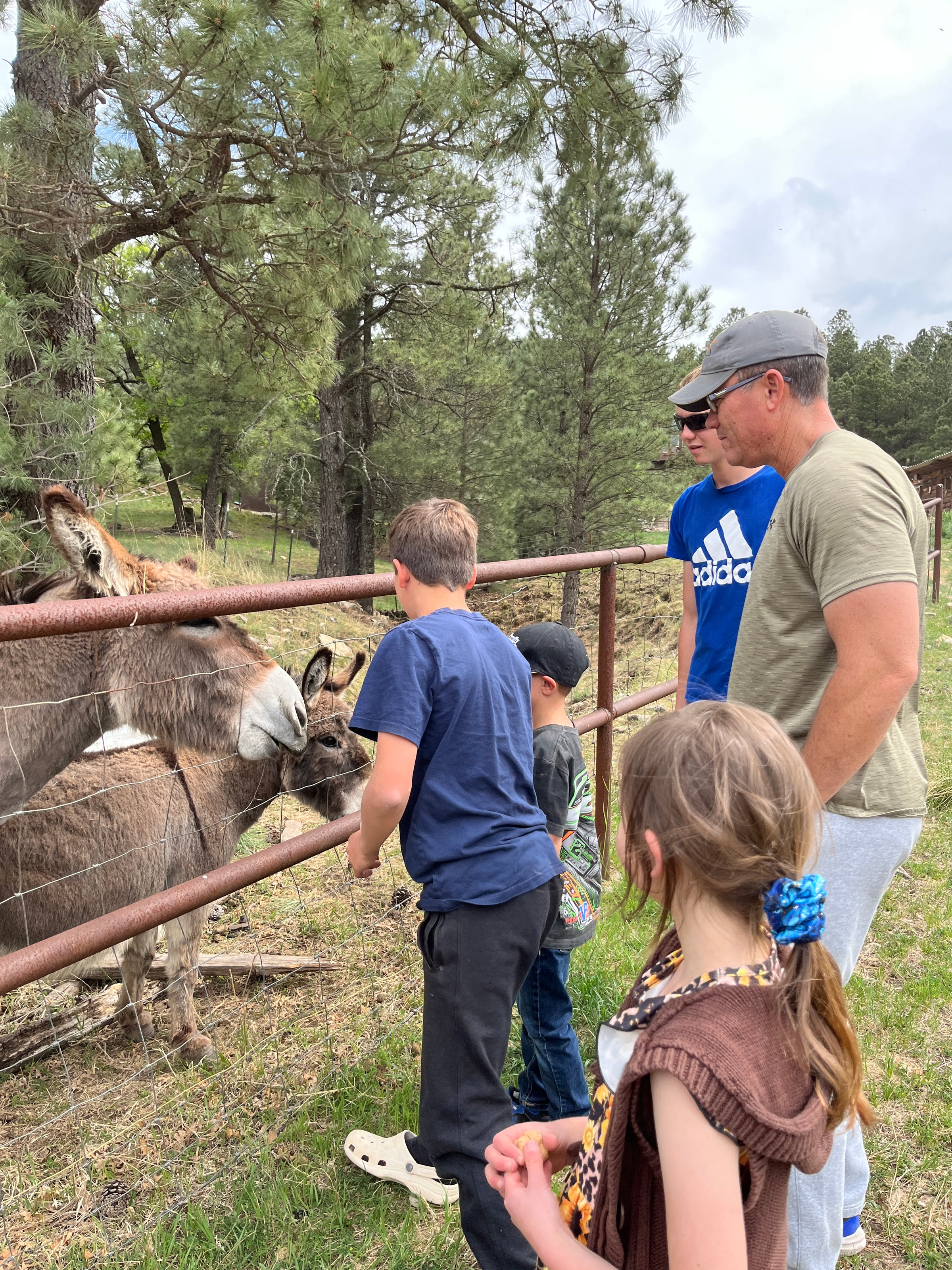 Visit the ranch