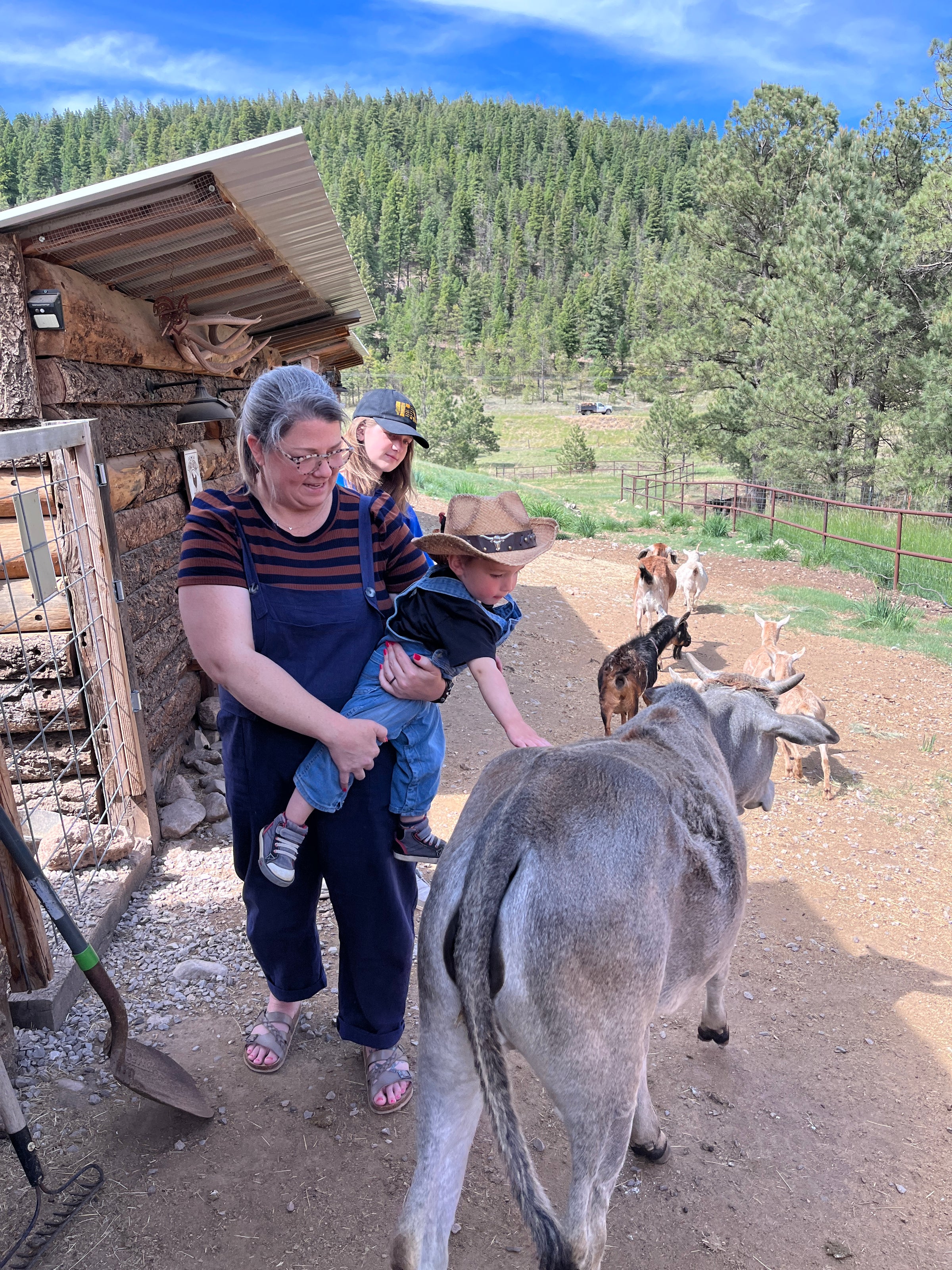 Visit the ranch