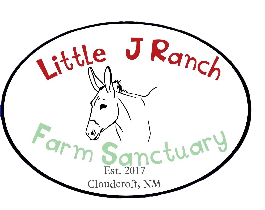 Home | Little J Ranch Farm Sanctuary